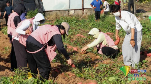 图片 5.jpg 图片 5.jpg